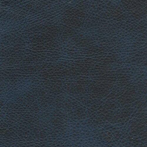 L11 Rio Leather Hide