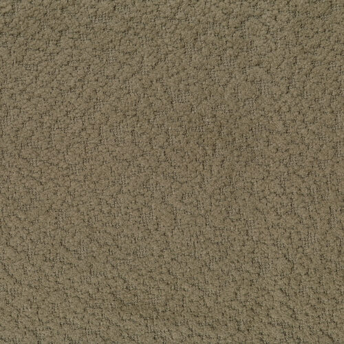 AG8024 BIRCH