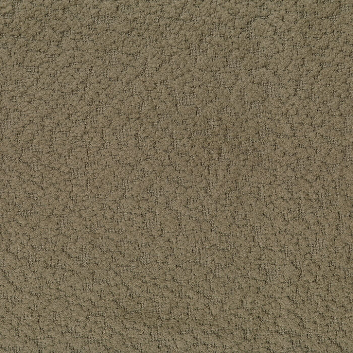 AG8024 BIRCH