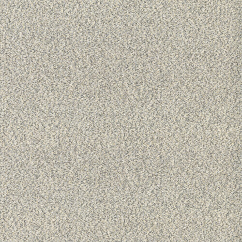 AG8026-Fleck