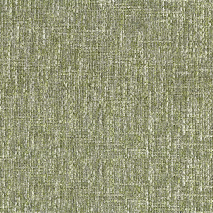 AG8021 Elm